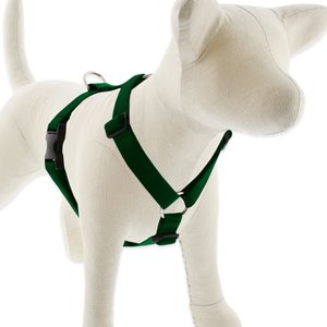 LupinePet Basic Solid Adjustable Dog Harness, Green, Medium: 20 to 32-in chest