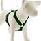 Show in main carousel: LupinePet Basic Solid Adjustable Dog Harness, Green, Medium: 20 to 32-in chest slide 1 of 6