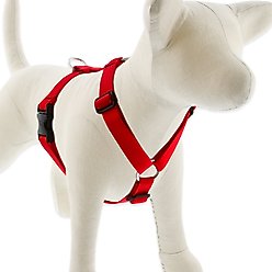 LupinePet Basic Solid Adjustable Dog Harness, Red, Large: 24 to 38-in chest