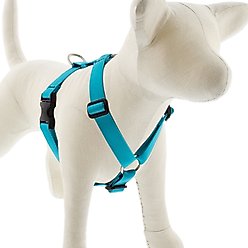 LupinePet Basic Solid Adjustable Dog Harness, Aqua, Medium: 20 to 32-in chest