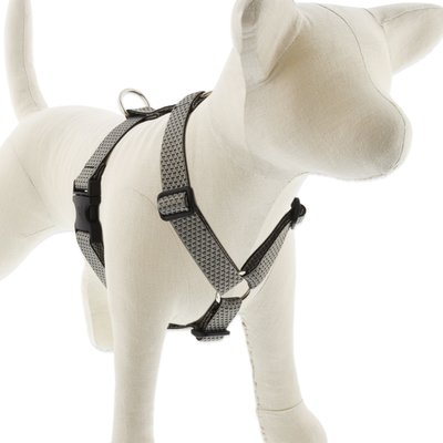 LupinePet LupinePet ECO Recycled Adjustable Dog Harness, Granite, Medium: 20 to 32-in chest