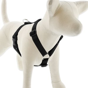 LupinePet Basic Solid Adjustable Dog Harness, Black, Large: 24 to 38-in chest