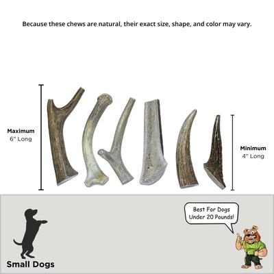 Show full view: Big Dog Antler Chews 4 to 6-inch Deer & Elk Antler Dog Chews, 6 count slide 3 of 5