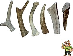 Big Dog Antler Chews 4 to 6-inch Deer & Elk Antler Dog Chews, 6 count