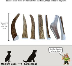 Big Dog Antler Chews 6 to 8-inch Antler Dog Chews, 7 count slide 2 of 3