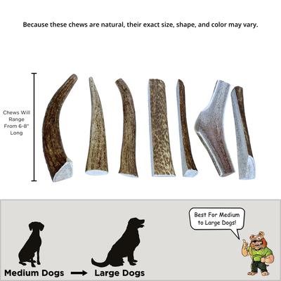 Show full view: Big Dog Antler Chews 6 to 8-inch Antler Dog Chews, 7 count slide 3 of 4