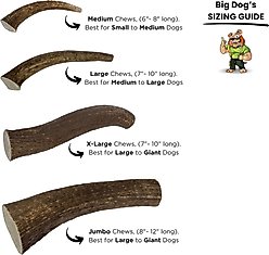 Big Dog Antler Chews Jumbo 8 to 12-inch Whole Elk Antler Dog Chew slide 2 of 4