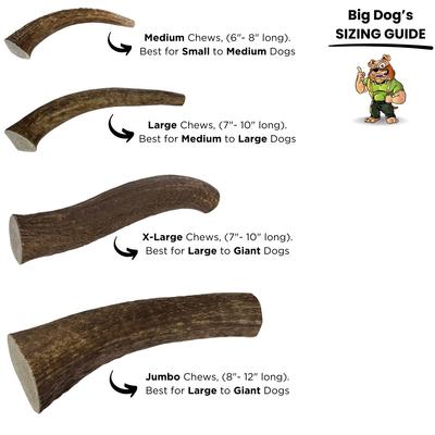Show full view: Big Dog Antler Chews Jumbo 8 to 12-inch Whole Elk Antler Dog Chew slide 4 of 5