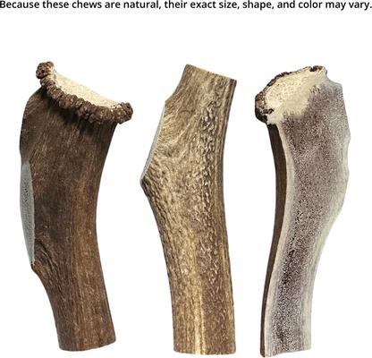 Show full view: Big Dog Antler Chews Jumbo 7 to 12-inch Split Elk Antler Dog Chew slide 3 of 5