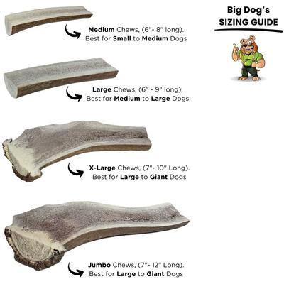 Show full view: Big Dog Antler Chews Jumbo 7 to 12-inch Split Elk Antler Dog Chew slide 4 of 5