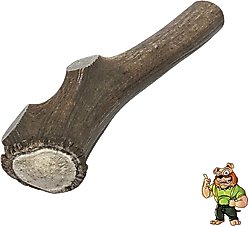 Big Dog Antler Chews Jumbo 8 to 12-inch Whole Elk Antler Dog Chew