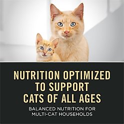 Purina Pro Plan High Protein Chicken & Rice Dry Cat Food, 12.5-lb bag slide 2 of 9