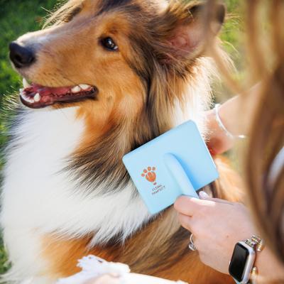 Show full view: Flying Pawfect Flat Dog Brush, 3 count slide 9 of 10