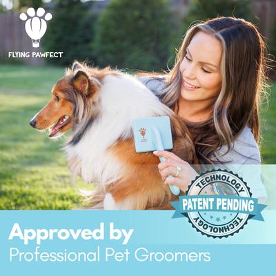 Show full view: Flying Pawfect Flat Dog Brush, 3 count slide 3 of 10