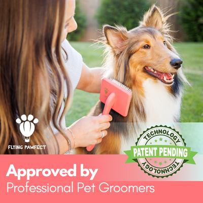 Show full view: Flying Pawfect Flat Slicker Dog Brush, Coral slide 3 of 10