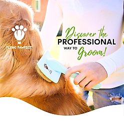 Flying Pawfect Curved Slicker Dog Brush, Small, 1 count slide 2 of 9