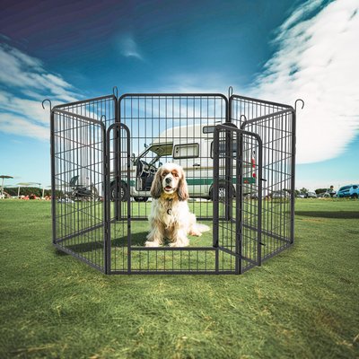 Cesicia Cesicia 6 Panel Metal Dog Playpen, Black