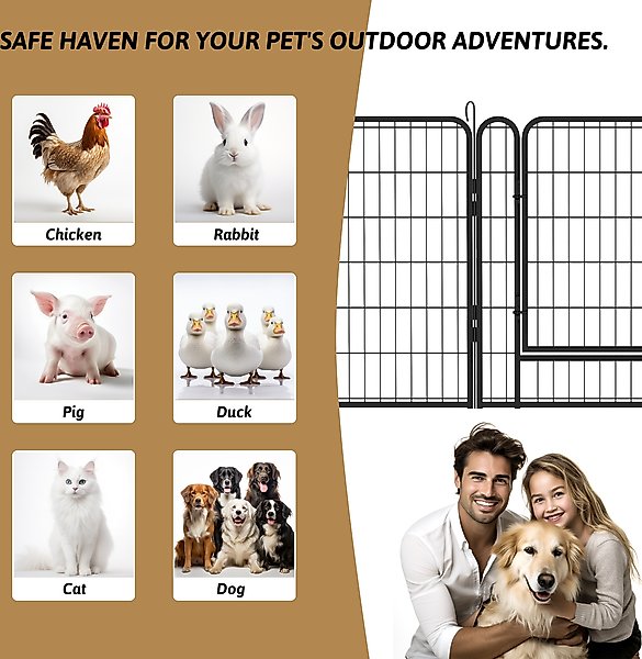 Show full view: Zeus & Ruta Metal Dog Playpen with Door, Black, 31.7-in, 6 panel slide 4 of 7