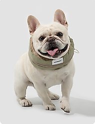 EYS HiDREAM Cooling Ice Neck Wrap with Insertable Dog Ice Pack, Green, Large