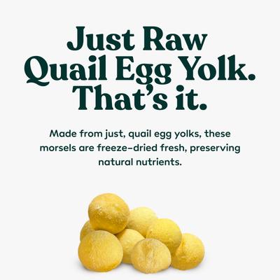 Show full view: Little Hunter Grain-Free Freeze-Dried Quail Egg Yolk Dog Treats, 4.2-oz jar slide 4 of 5