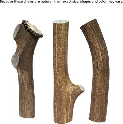 Show full view: Big Dog Antler Chews Jumbo 8 to 12-inch Whole Elk Antler Dog Chew slide 3 of 5