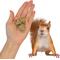 Show in main carousel: Exotic Nutrition Squirrel Beneficial Blocks, 10-oz bag slide 3 of 7