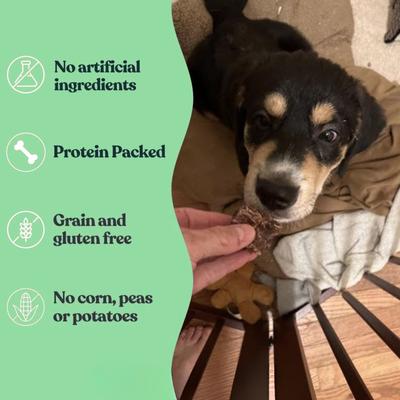 Show full view: Sprankles Beef Lung Dehydrated Dog Treats, 8-oz bag slide 4 of 7