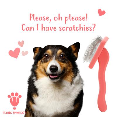 Show full view: Flying Pawfect Flat Slicker Dog Brush, Coral slide 9 of 10