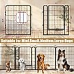 Show in main carousel: Zeus & Ruta Metal Dog Playpen with Door, Black, 31.7-in, 6 panel slide 3 of 7