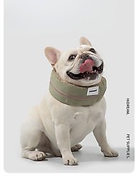 EYS HiDREAM Cooling Ice Neck Wrap with Insertable Dog Ice Pack, Green, Medium