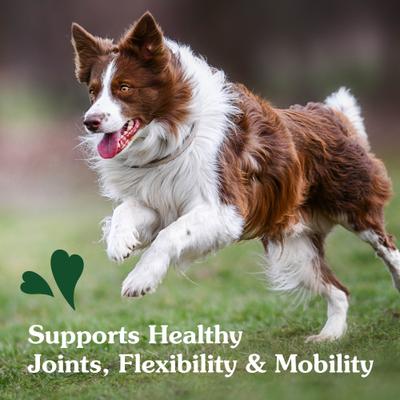 Show full view: Greenies Hip & Joint Chicken Flavored Soft Chew Glucosamine Joint Supplement for Dogs, 160 count slide 9 of 12