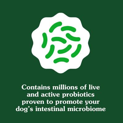 Show full view: Greenies Digestive Health Chicken Flavored Soft Chew Digestive Supplement for Dogs, 80 count slide 5 of 11