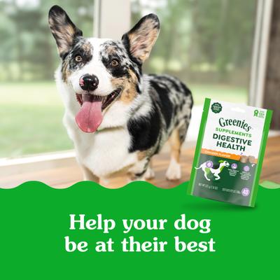 Show full view: Greenies Digestive Health Chicken Flavored Soft Chew Digestive Supplement for Dogs, 40 count slide 9 of 11
