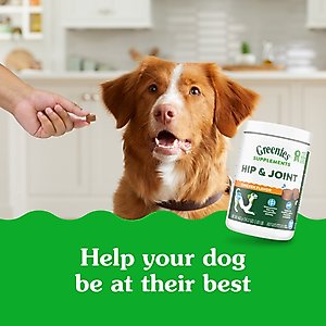 Greenies Hip & Joint Chicken Flavored Soft Chew Glucosamine Joint Supplement for Dogs, 80 count, 16.2-oz tub