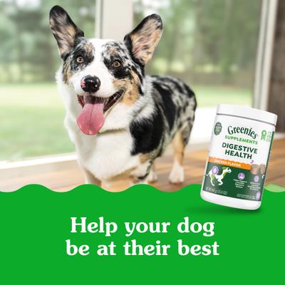 Show full view: Greenies Digestive Health Chicken Flavored Soft Chew Digestive Supplement for Dogs, 80 count slide 9 of 11