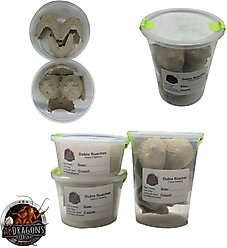 ABDragons 2 Week Bearded Dragon Meal Plan, Adult slide 2 of 6
