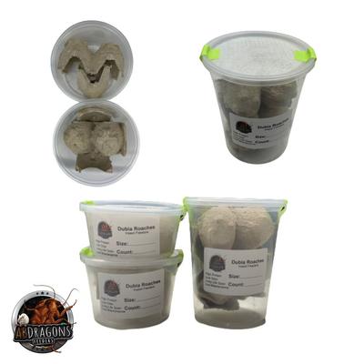 Show full view: ABDragons Live Dubia Roaches Reptile, Bird, Fish & Small Pet Food, Medium, 200 count slide 4 of 4