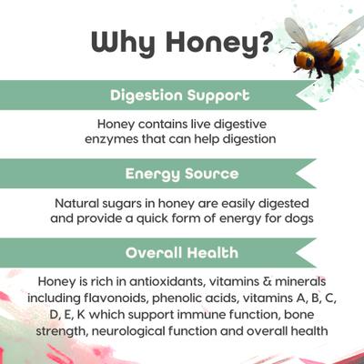 Show full view: Fuel Good Ultimutt Chicken Recipe with Cranberries & Flaxseed High Protein Soft & Chewy Dog Treats, 8-oz bag slide 6 of 10