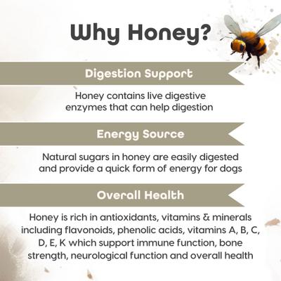 Show full view: Fuel Good Zoomies Bison High Protein Soft & Chewy Dog Treats, 6-oz bag slide 6 of 10