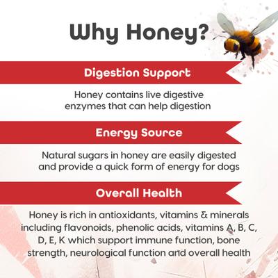 Show full view: Fuel Good Puppers Crunchy Chicken with Bone Marrow & Bone Broth High Protein Crunchy Dog Treats, 12-oz bag slide 6 of 11