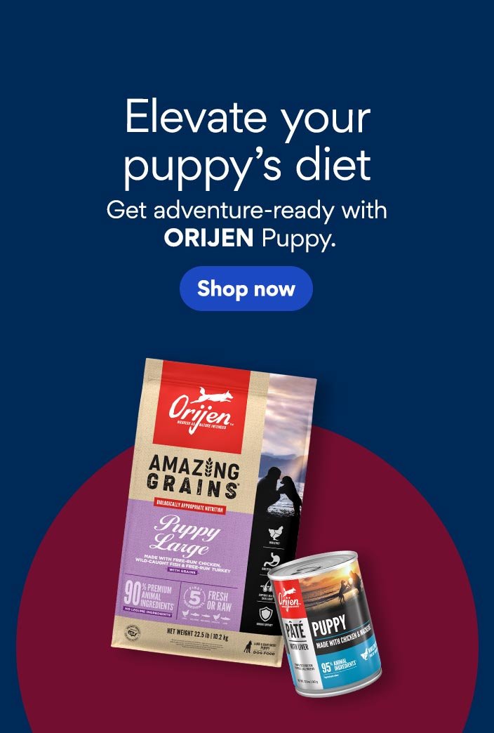 Elevate your puppy's diet. Get adventure-ready with ORIJEN puppy. Shop now.