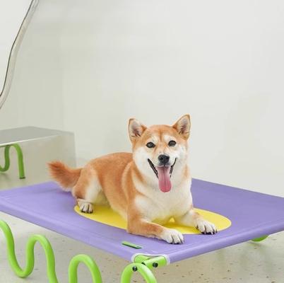 Show full view: ZEZE Wavy Army Elevated Dog Bed, Medium, Purple/Yellow slide 10 of 11
