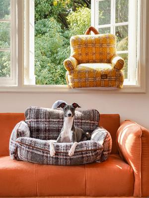 Show full view: ZEZE Plaid Vintage Furniture Style Sofa Dog Bed, Yellow, Medium slide 7 of 8