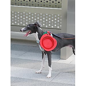 ZEZE Collapsible Silicone Dog Bowl, Red, 3-cup