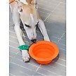 Show in main carousel: ZEZE Collapsible Silicone Dog Bowl, Orange, 3-cup slide 2 of 7