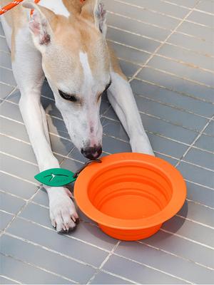 Show full view: ZEZE Collapsible Silicone Dog Bowl, Orange, 3-cup slide 2 of 7