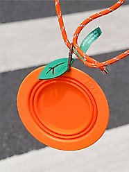 ZEZE Collapsible Silicone Dog Bowl, Orange, 3-cup