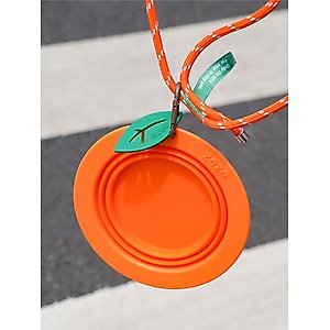 ZEZE Collapsible Silicone Dog Bowl, Orange, 3-cup
