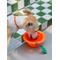 Show in main carousel: ZEZE Collapsible Silicone Dog Bowl, Orange, 3-cup slide 3 of 7