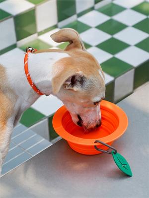 Show full view: ZEZE Collapsible Silicone Dog Bowl, Orange, 3-cup slide 3 of 7